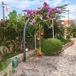 Sara * Рогозница